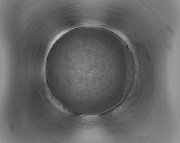 X0000115610864200911101426