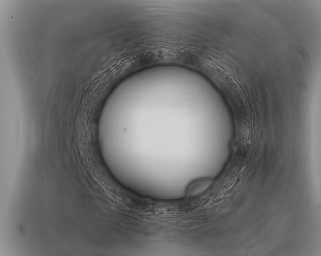 X0000115610865200911101425