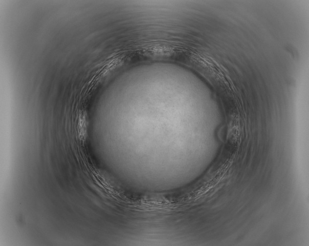 X0000115610866200911101425