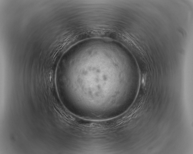 X0000115610867200911101425