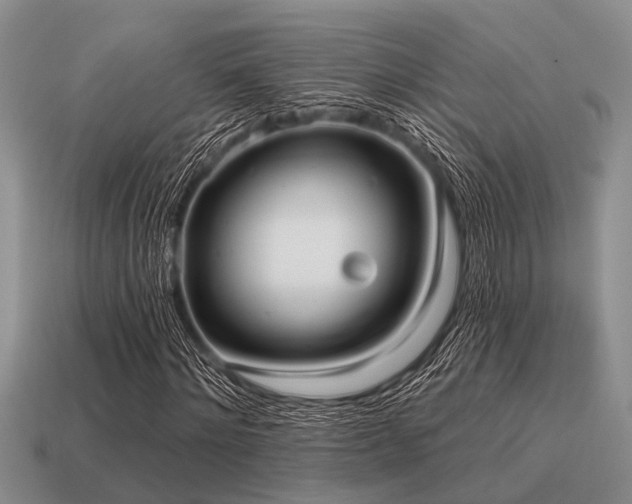 X0000115610868200911101425