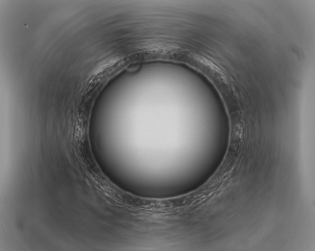 X0000115610869200911101425