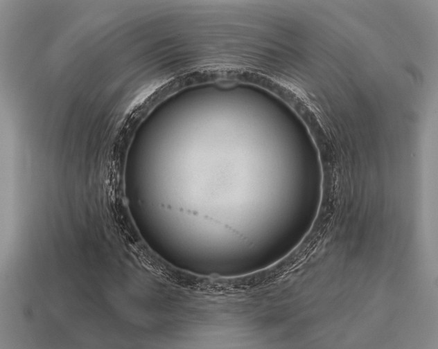 X0000115610871200911101425