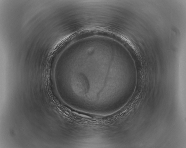 X0000115610872200911101425