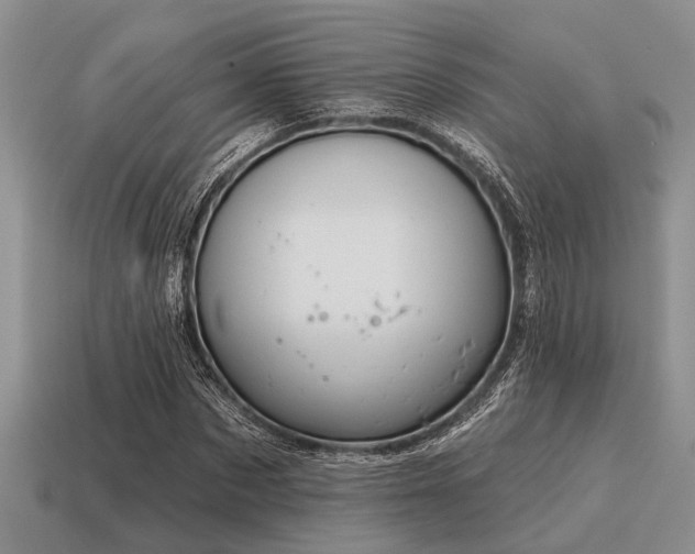 X0000115610873200911101425