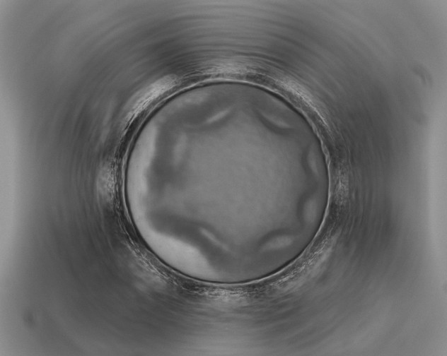 X0000115610874200911101425