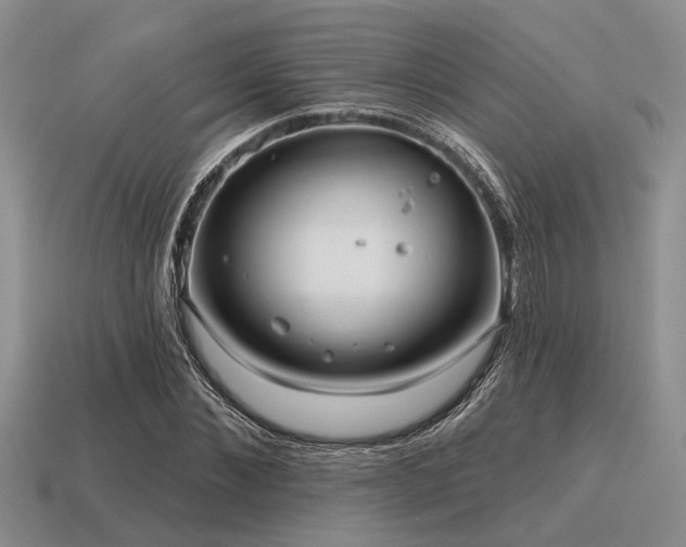 X0000115610876200911101425