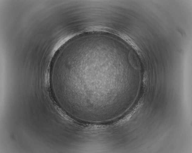 X0000115610877200911101425