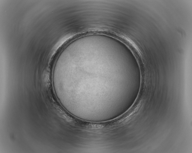 X0000115610878200911101425