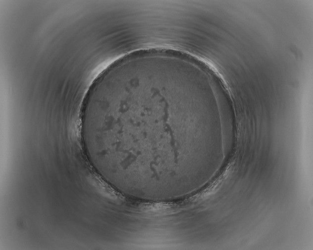 X0000115610879200911101425