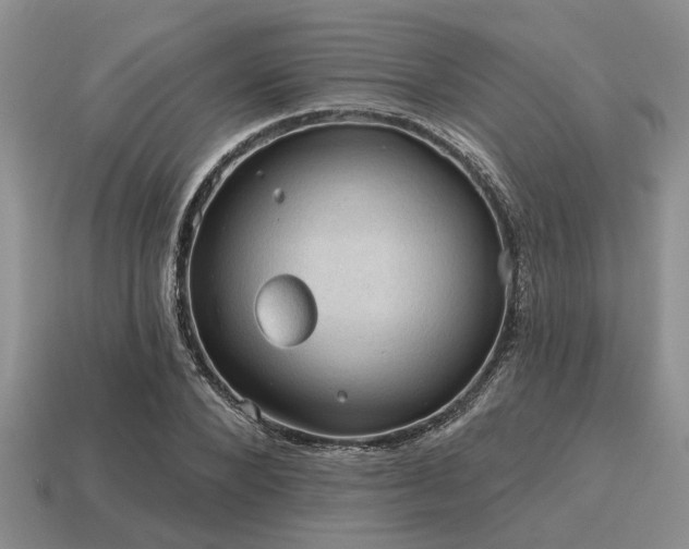 X0000115610880200911101425