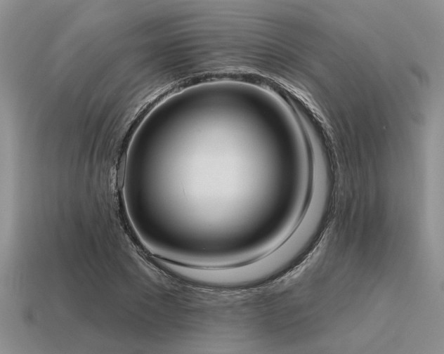 X0000115610881200911101425