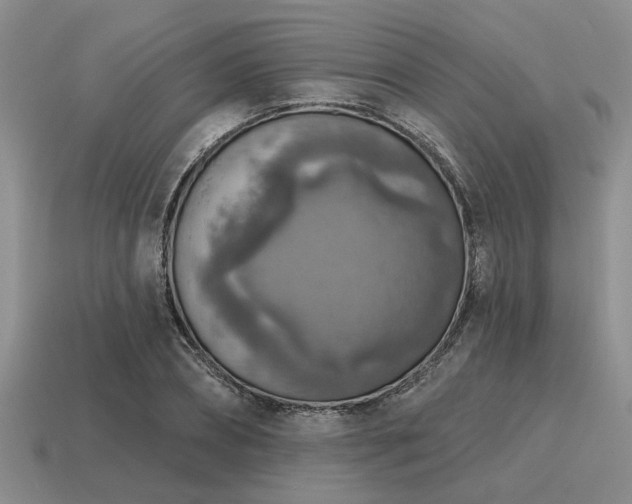 X0000115610882200911101425