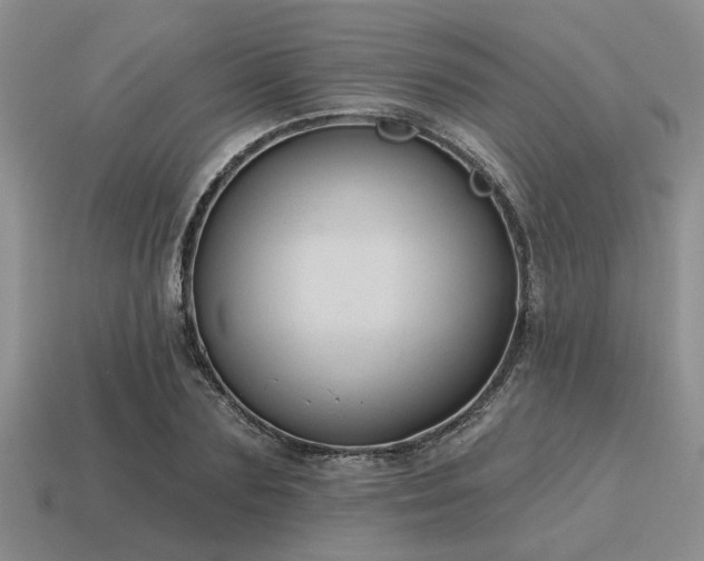 X0000115610883200911101425