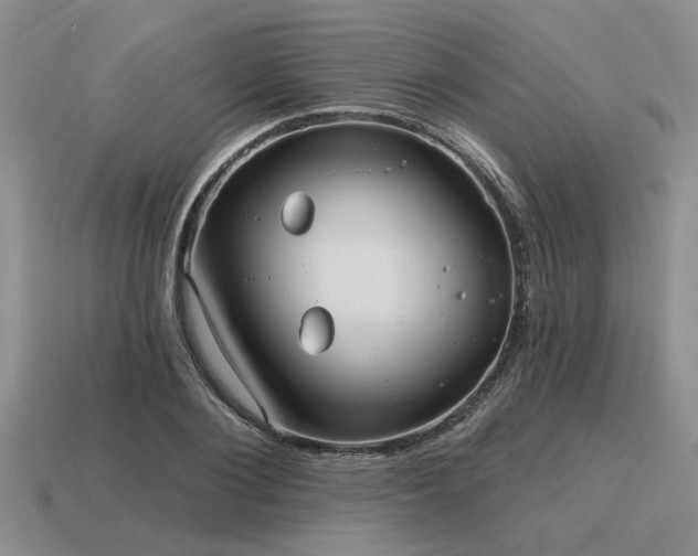 X0000115610884200911101425