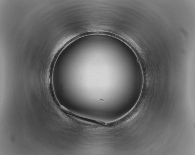 X0000115610885200911101425