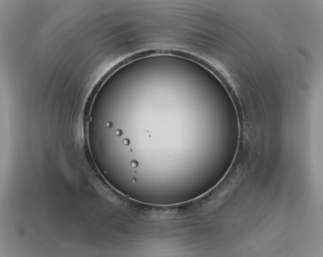 X0000115610887200911101425