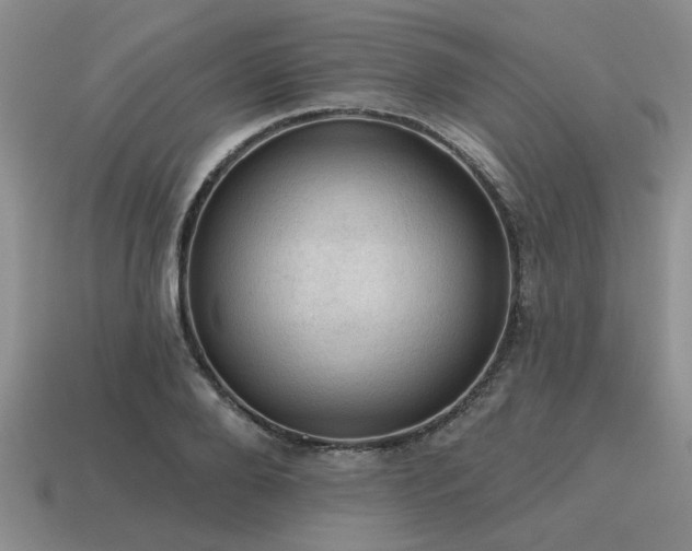 X0000115610888200911101425