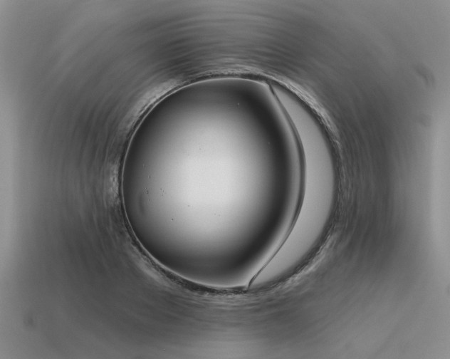 X0000115610889200911101425