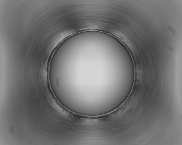 X0000115610890200911101425