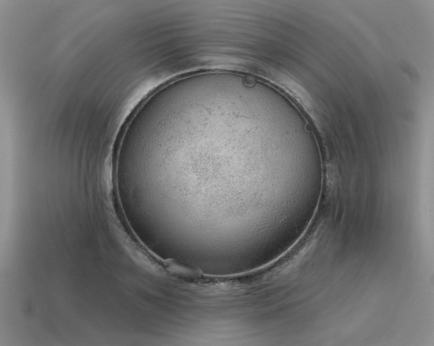 X0000115610891200911101425