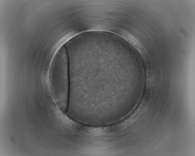 X0000115610892200911101425