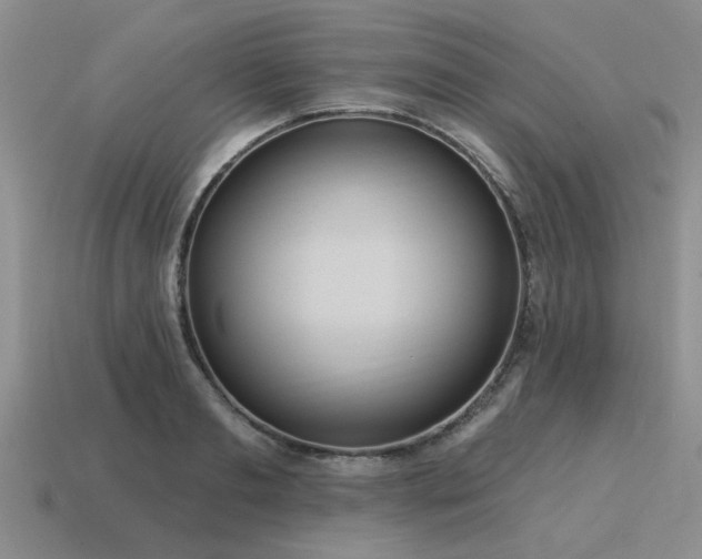 X0000115610893200911101425