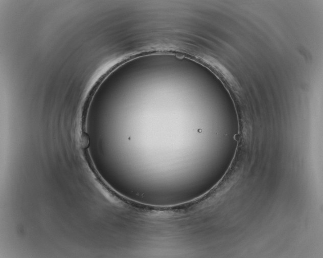 X0000115610894200911101425