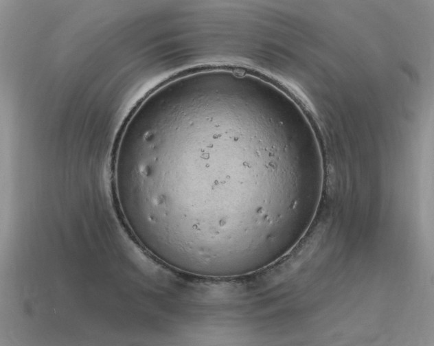 X0000115610895200911101425