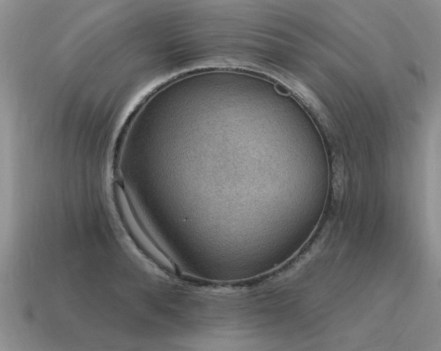 X0000115610896200911101425