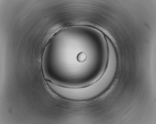 X0000115610897200911101425