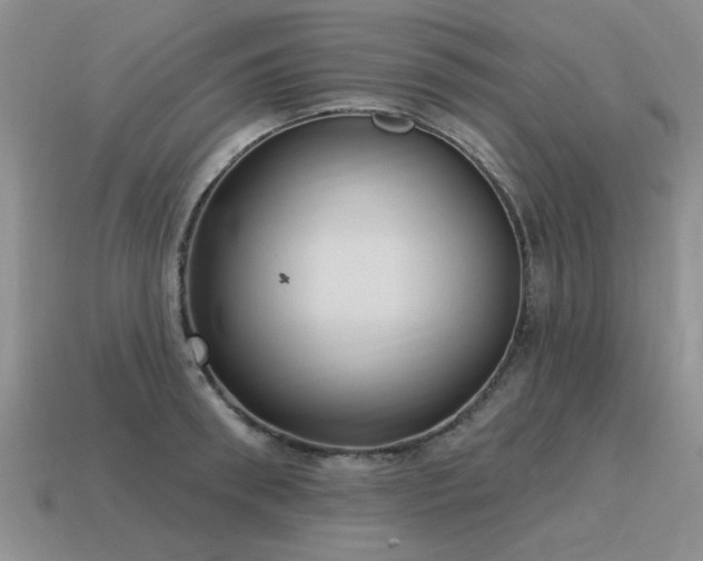 X0000115610898200911101425