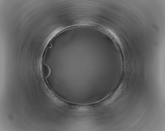 X0000115610899200911101425