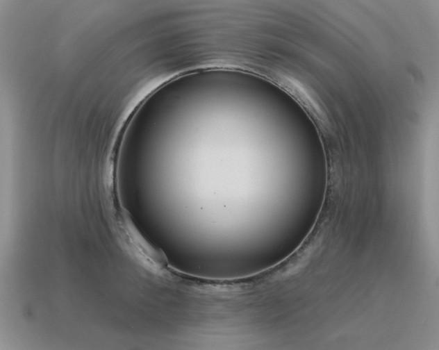 X0000115610900200911101424