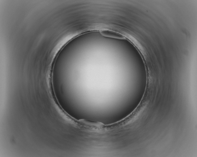 X0000115610901200911101424