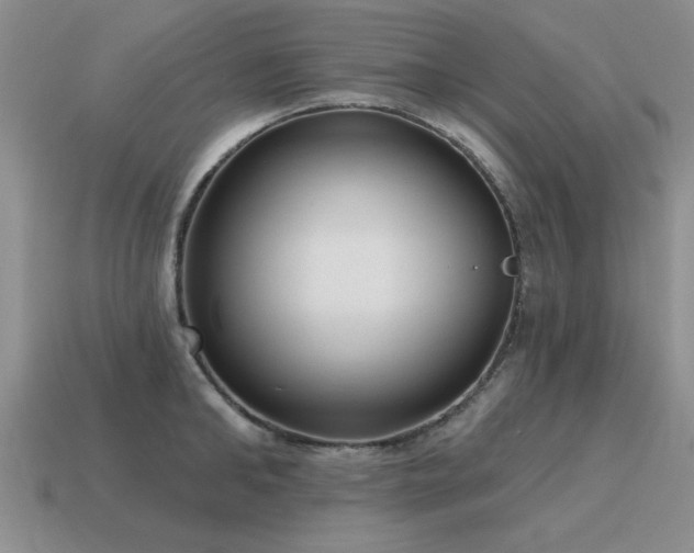 X0000115610902200911101424