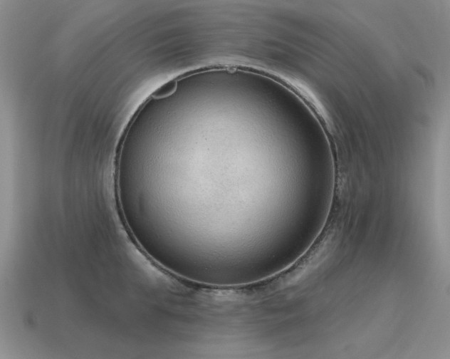 X0000115610903200911101424