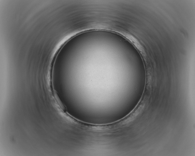 X0000115610904200911101424