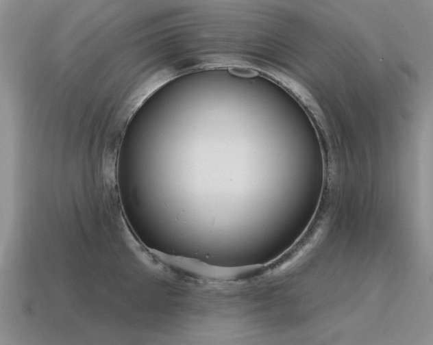 X0000115610905200911101424