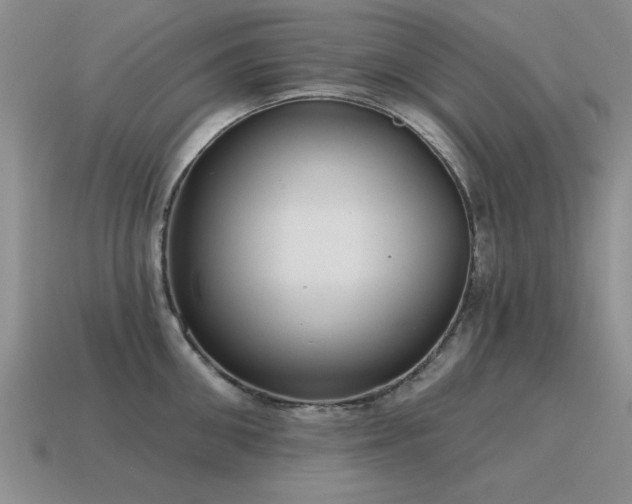 X0000115610906200911101424