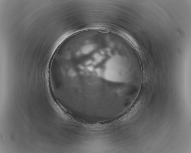 X0000115610907200911101424