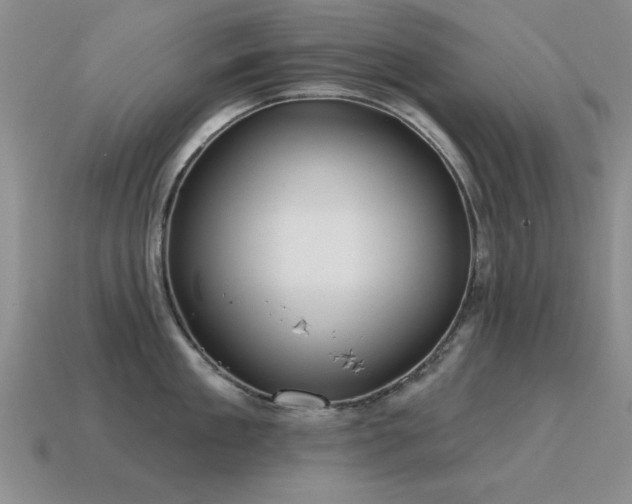 X0000115610909200911101424