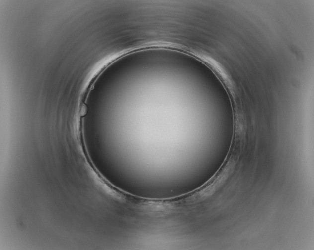 X0000115610910200911101424