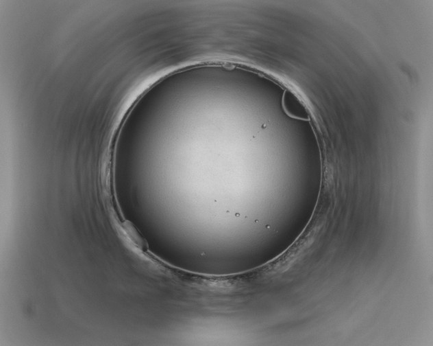 X0000115610911200911101424
