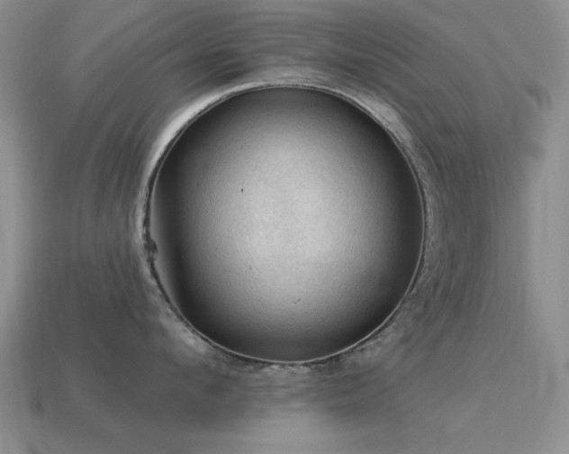 X0000115610912200911101424