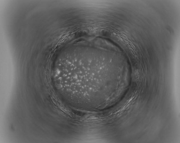 X0000115610913200911101424