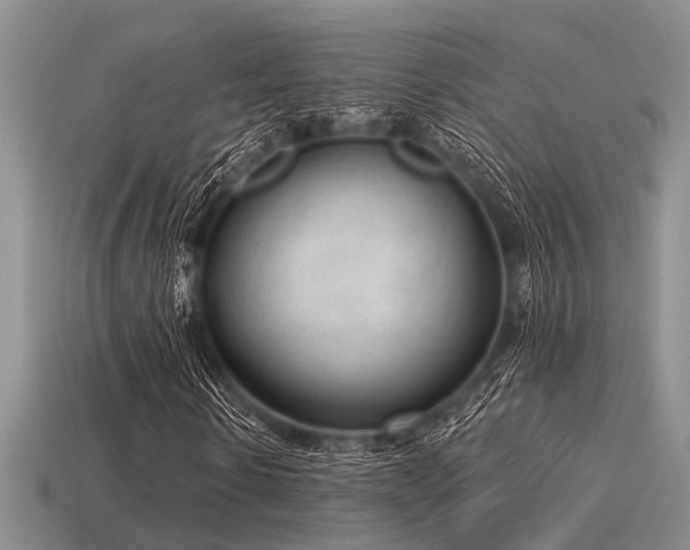 X0000115610914200911101424