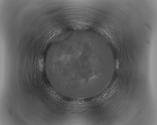 X0000115610915200911101424