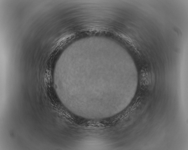 X0000115610918200911101424