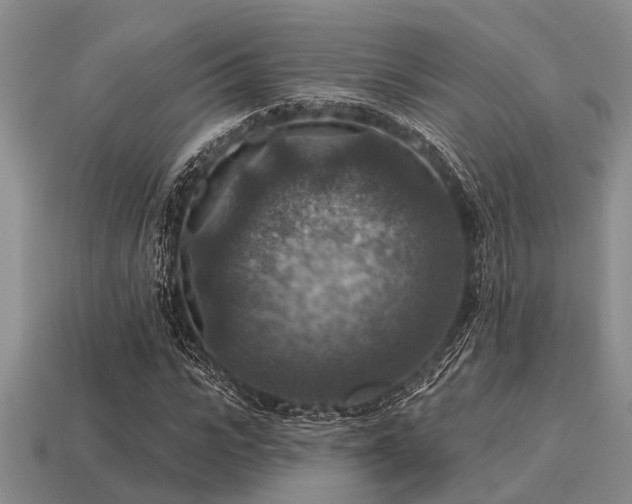 X0000115610919200911101424